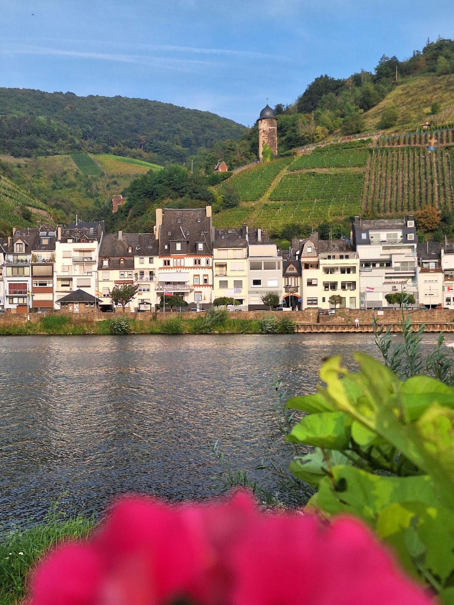 Mosel View Old Town Apartments Zell Buitenkant foto